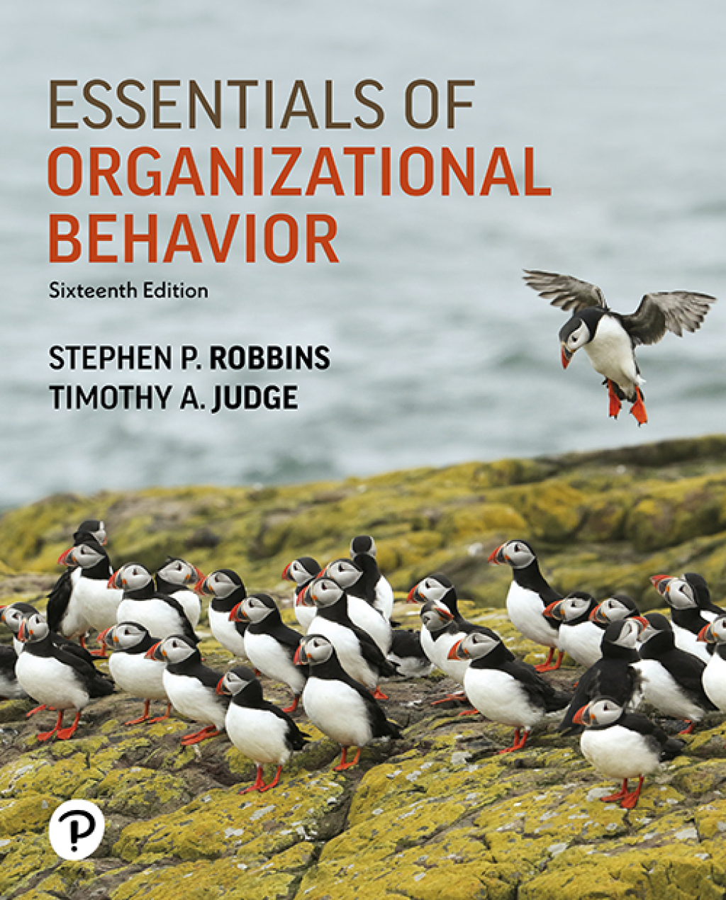 Essentials of Organizational Behavior 16e Robbins Test Bank