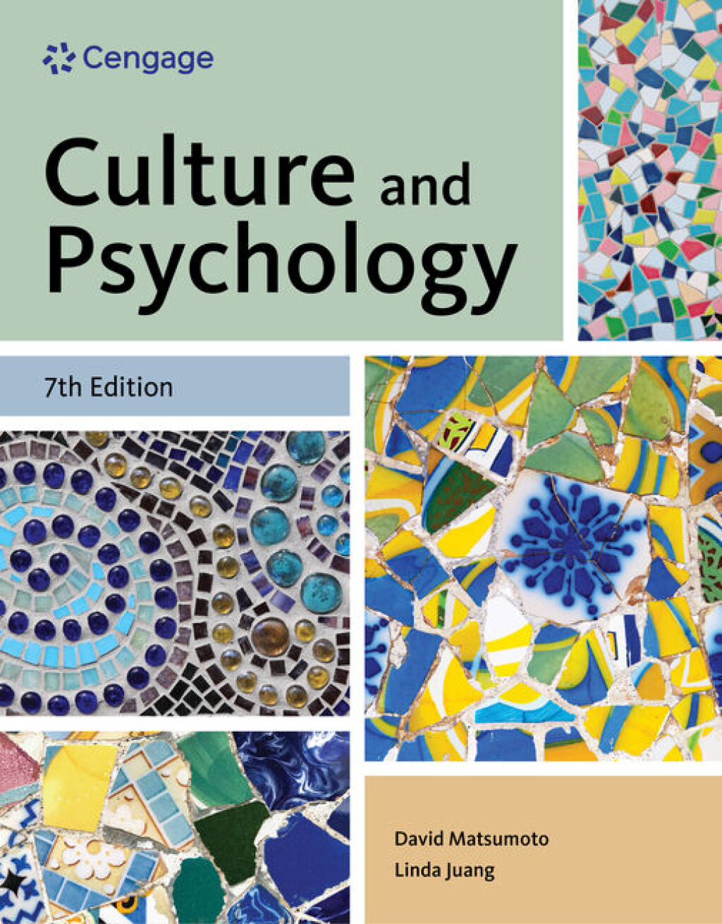 Culture and Psychology 7e Matsumoto Test Bank