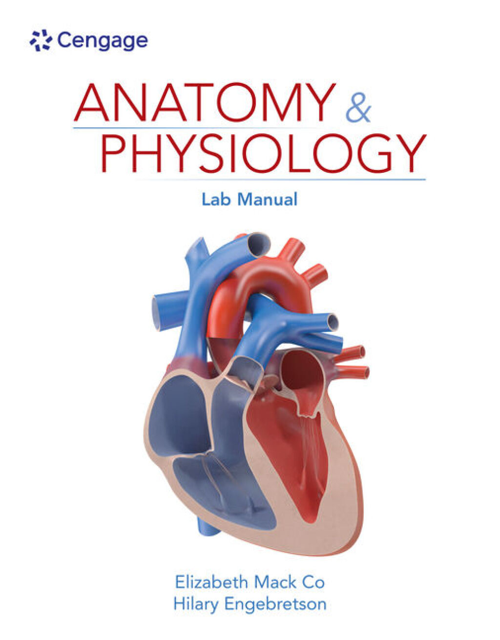 Anatomy & Physiology Lab Manual 1e Co Test Bank