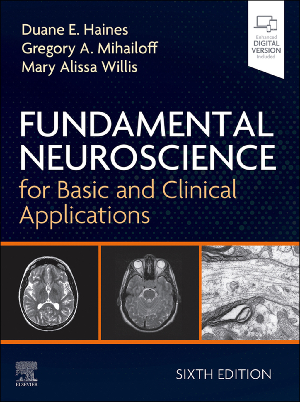 Fundamental Neuroscience for Basic and Clinical Applications 6e Haines Test Bank