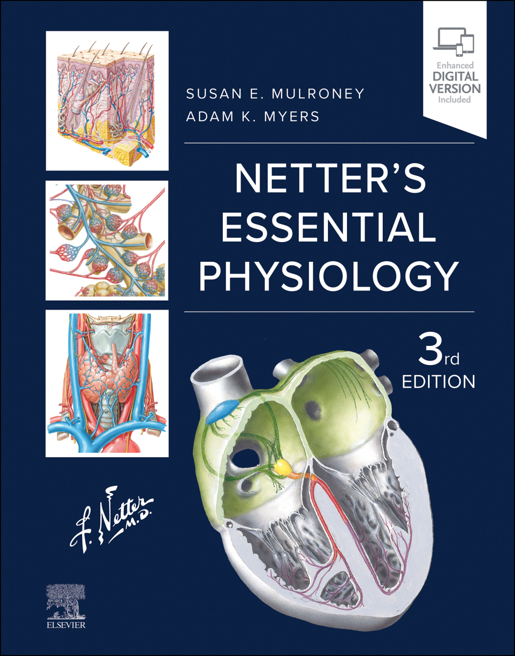Netter's Essential Physiology 3e Mulroney Test Bank