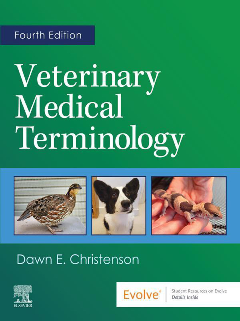 Veterinary Medical Terminology 4e Christenson Test Bank