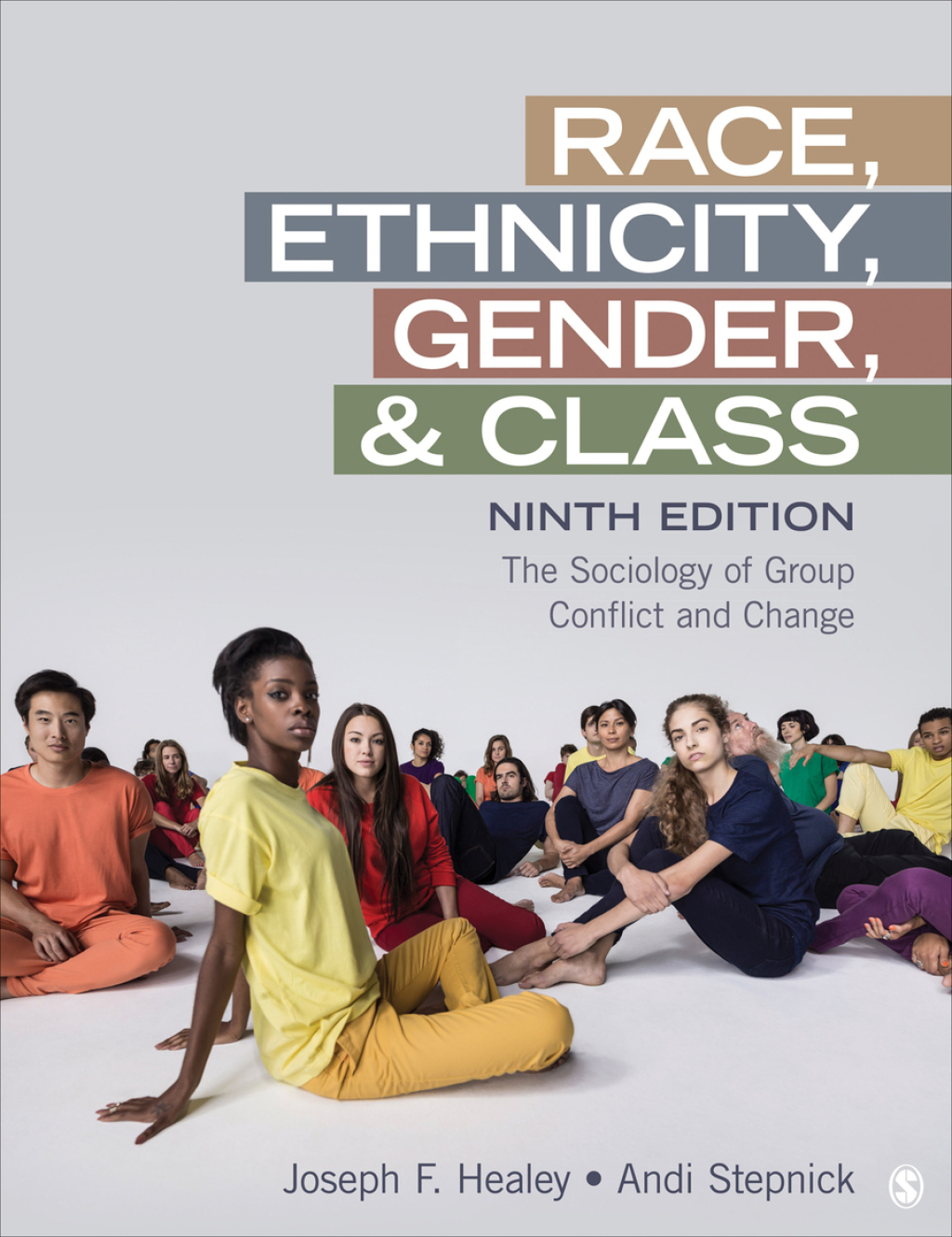 Race Ethnicity Gender and Class 9e Healey Test Bank