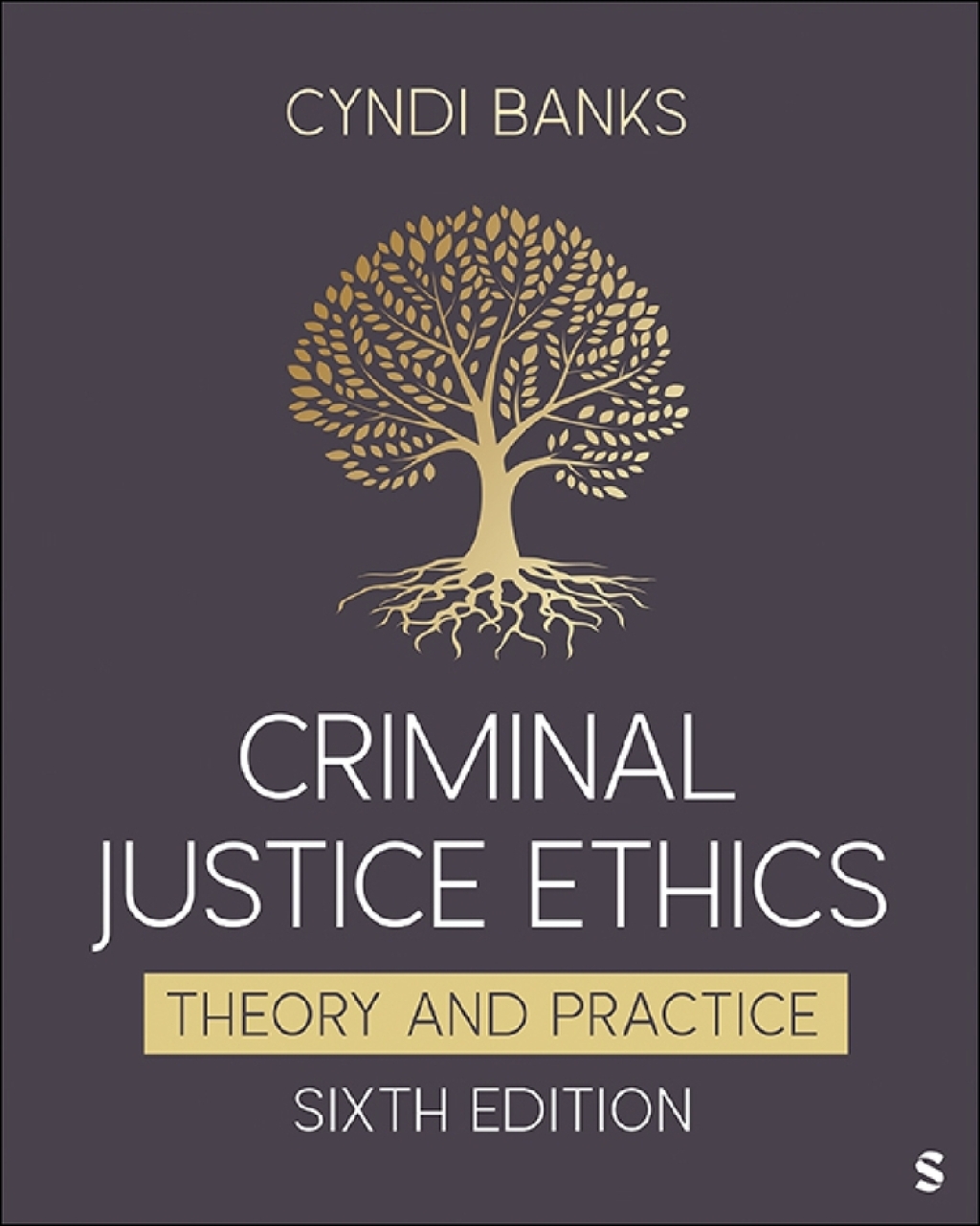 Criminal Justice Ethics 6e Banks Test Bank