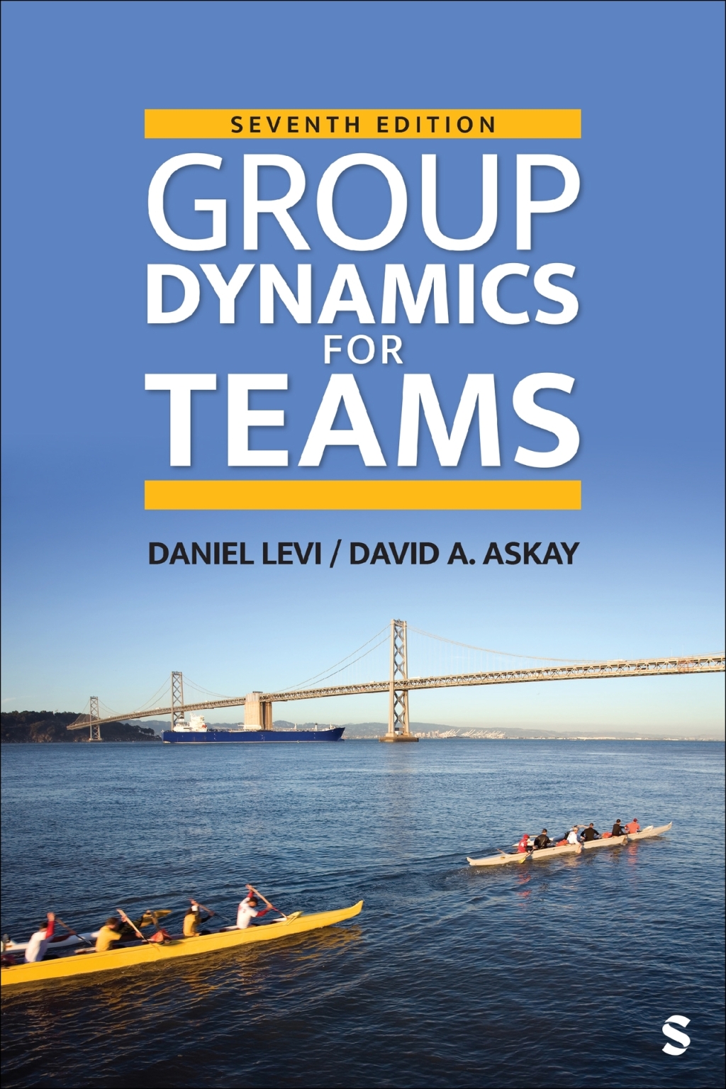 Group Dynamics for Teams 7e Levi Test Bank