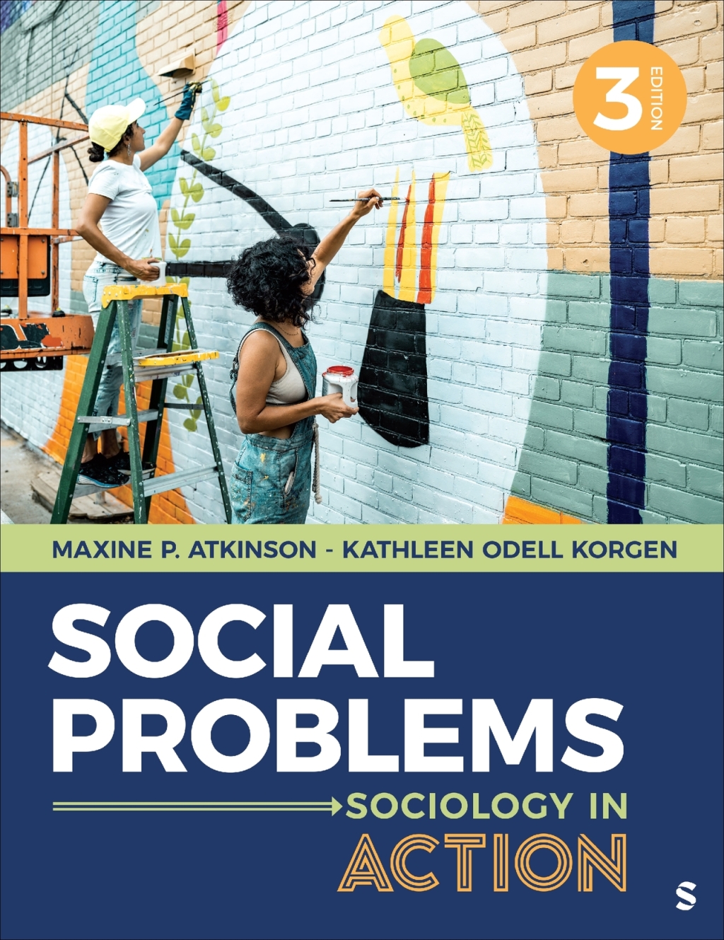 Social Problems 3e Atkinson Test Bank