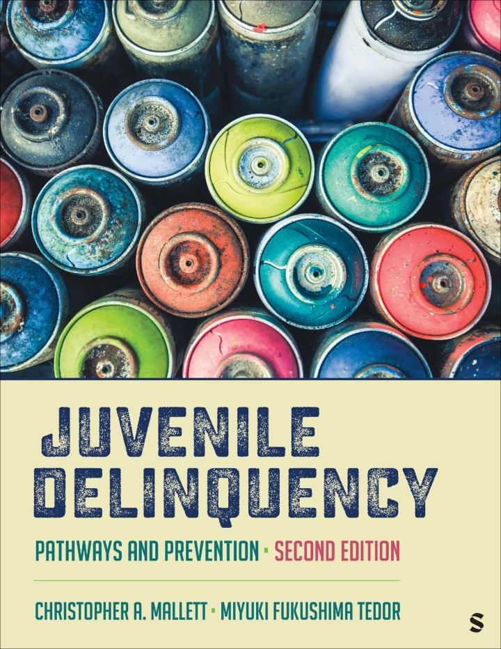 Juvenile Delinquency 2e Mallett Test Bank
