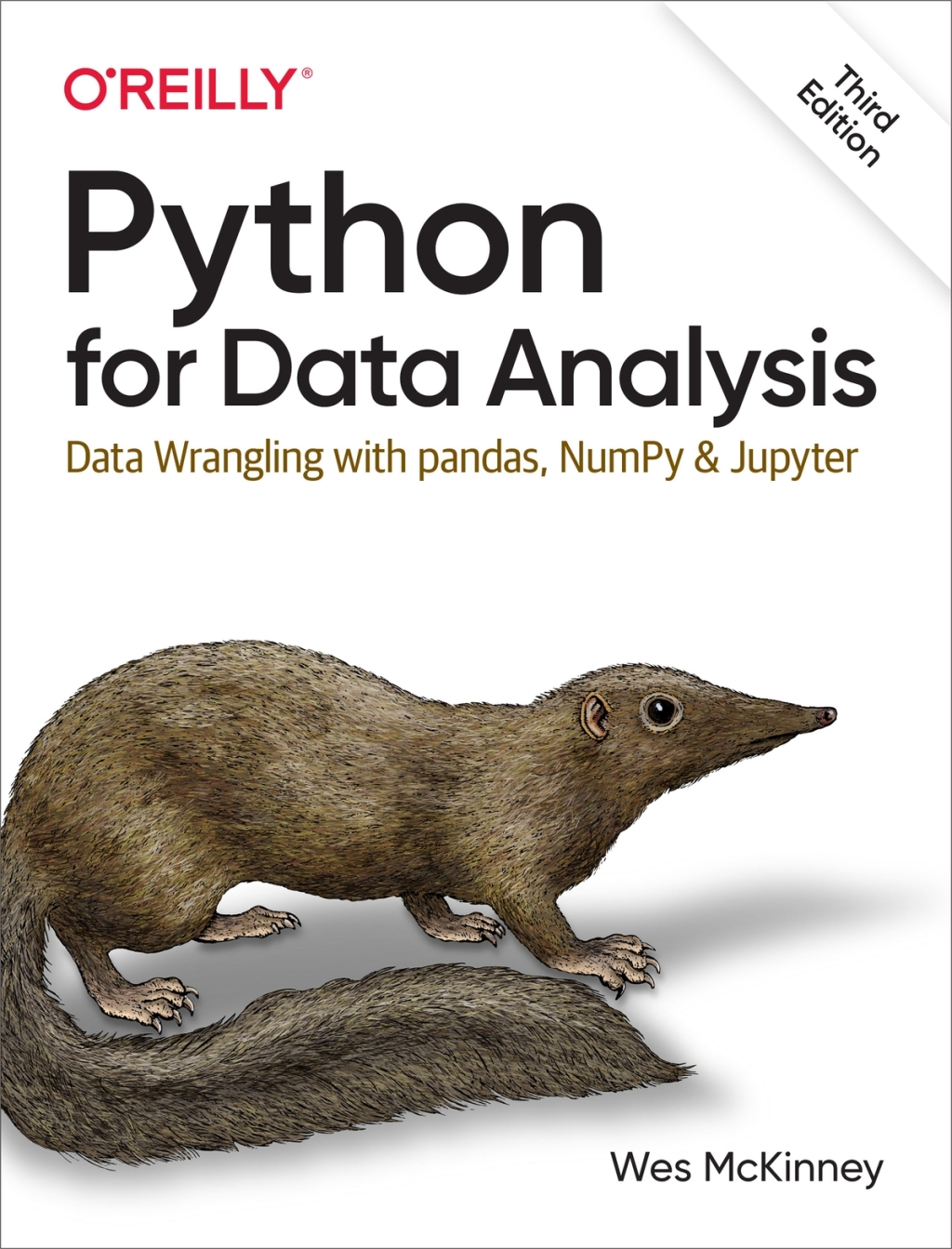 Python for Data Analysis 3e McKinney Test Bank