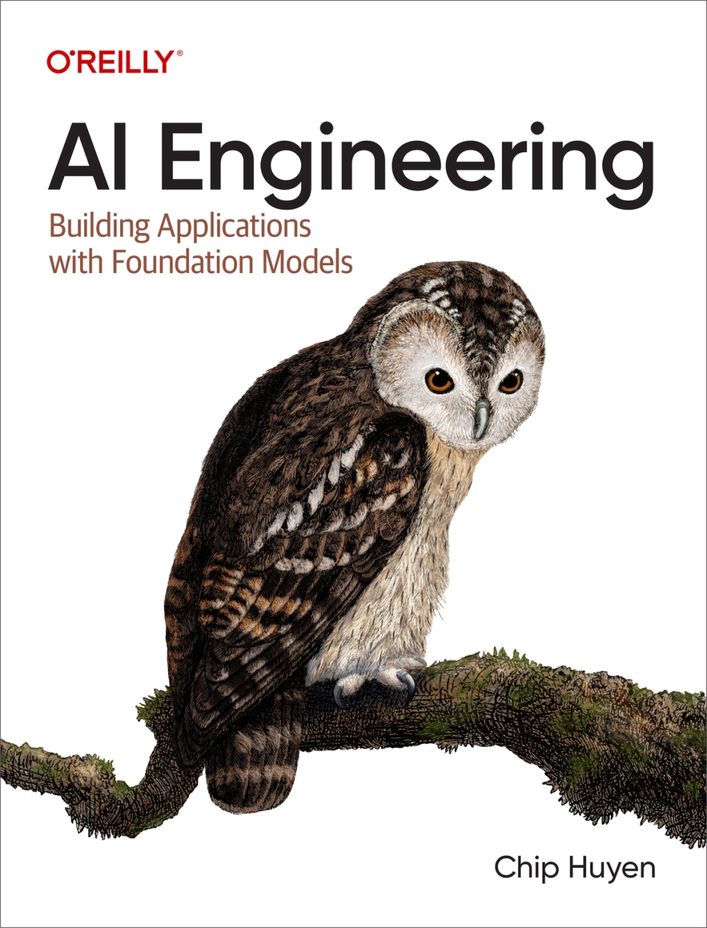 AI Engineering 1e Huyen Test Bank