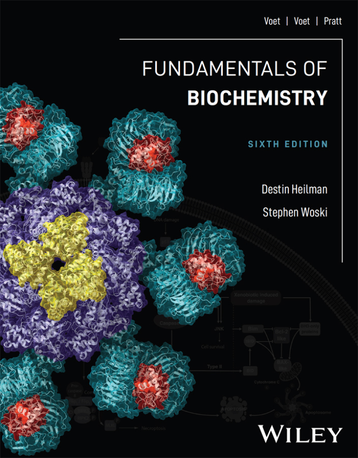Fundamentals of Biochemistry 6e Heilman Test Bank
