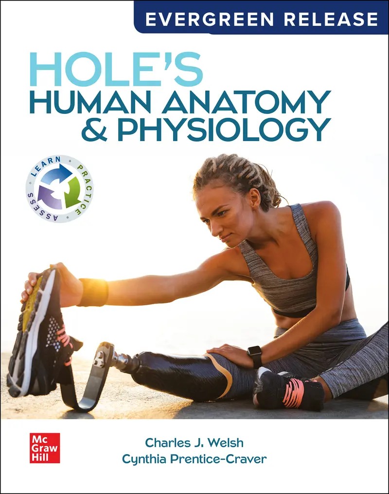 Hole's Human Anatomy and Physiology 2024 Release 1e Welsh Test Bank