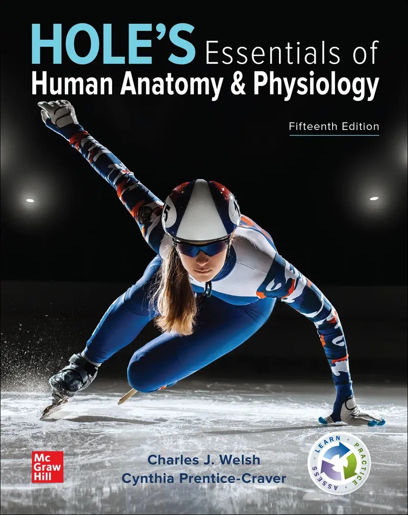 Hole's Essentials of Human Anatomy & Physiology 15e Welsh Solutions Manual