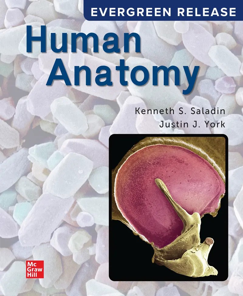 Human Anatomy 2024 Release 1e Saladin Test Bank