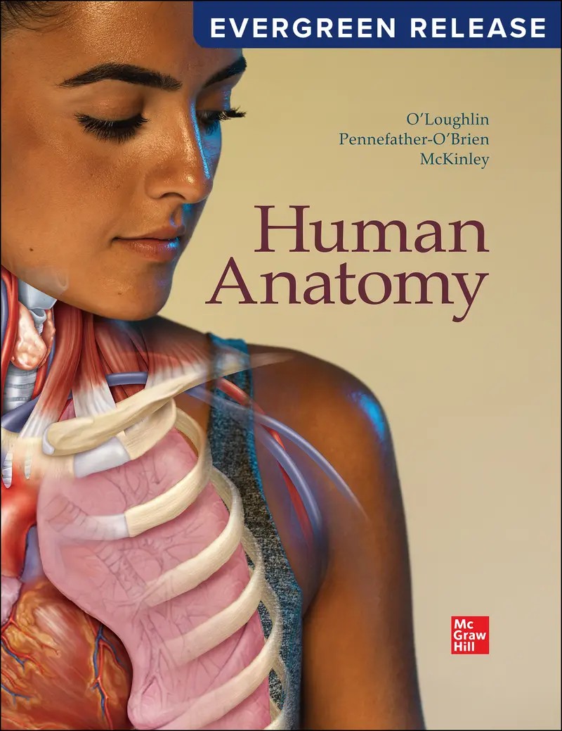 Human Anatomy 2024 Release 1e McKinley Test Bank