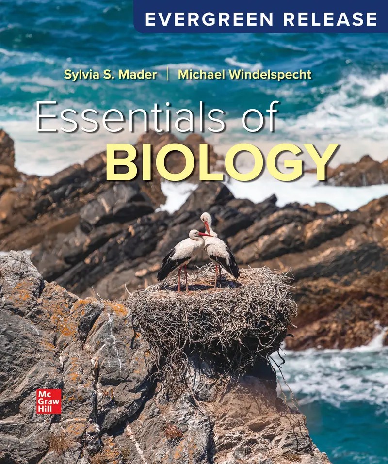 Essentials of Biology 2026 Release 1e Mader Test Bank