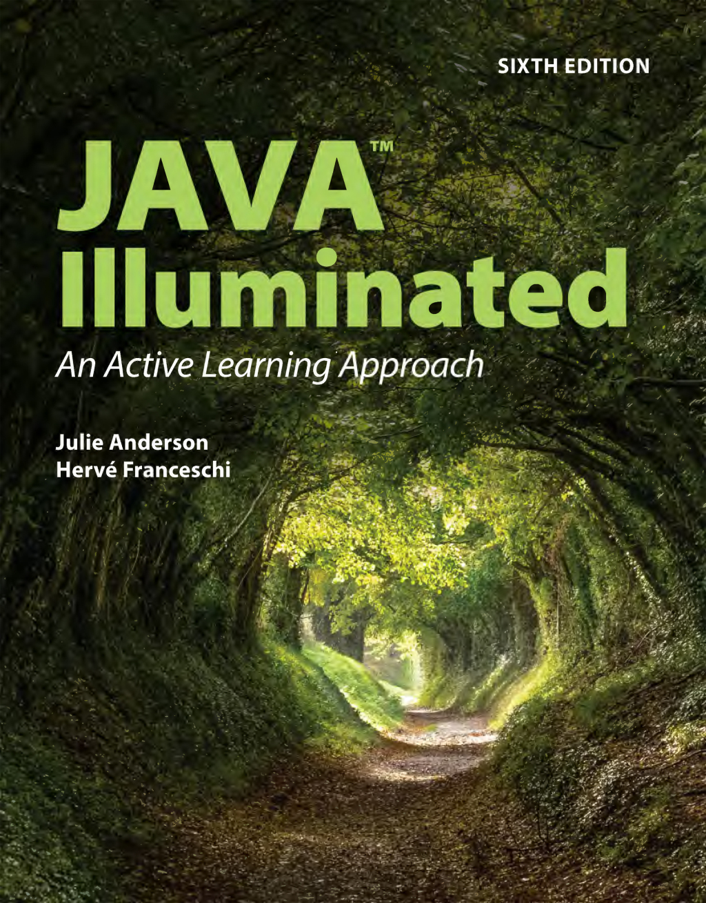 Java Illuminated 6e Anderson Solutions Manual
