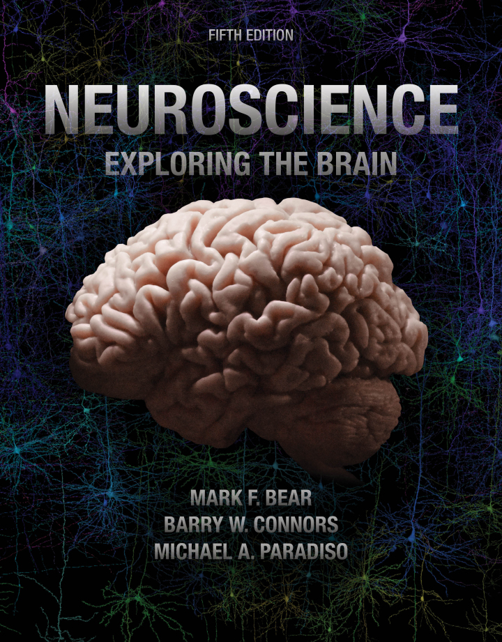 Neuroscience Exploring the Brain 5e Bear Test Bank