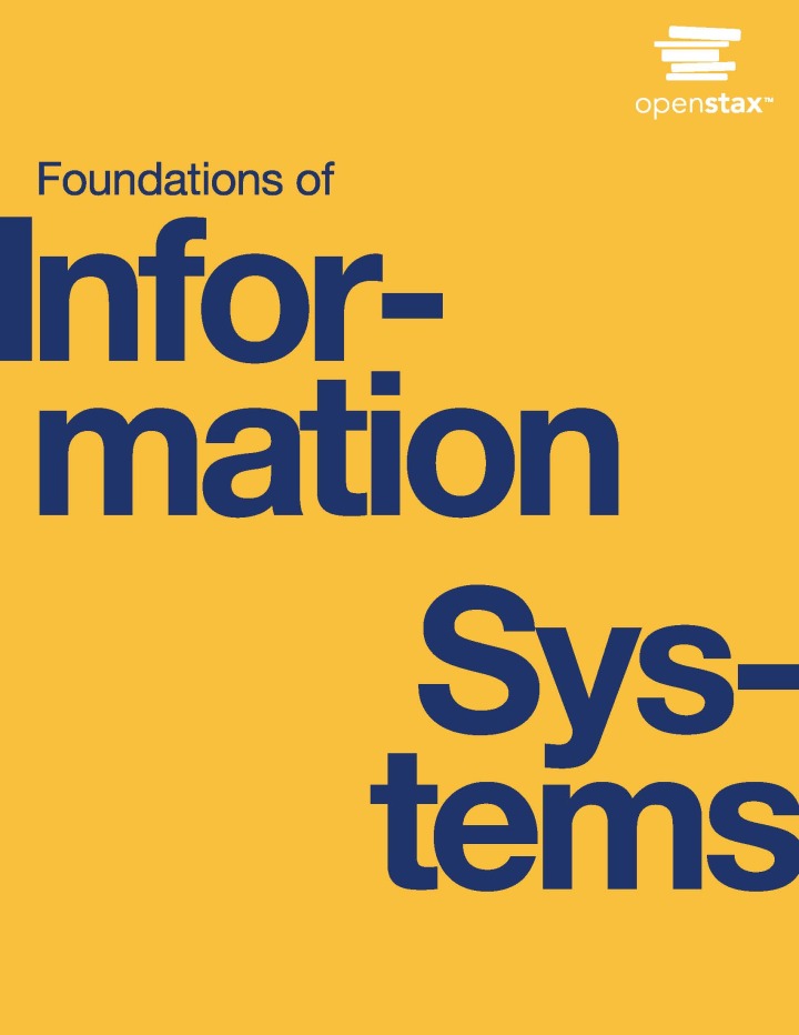 Foundations of Information Systems 1e Raisinghani Test Bank