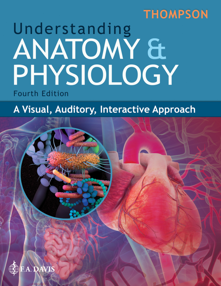 Understanding Anatomy and Physiology 4e Thompson Test Bank