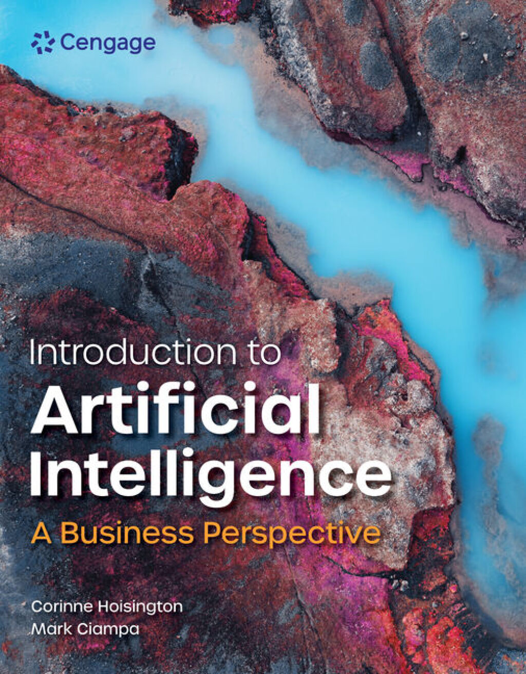 Introduction to Artificial Intelligence: A Business Perspective 1e Hoisington Test Bank