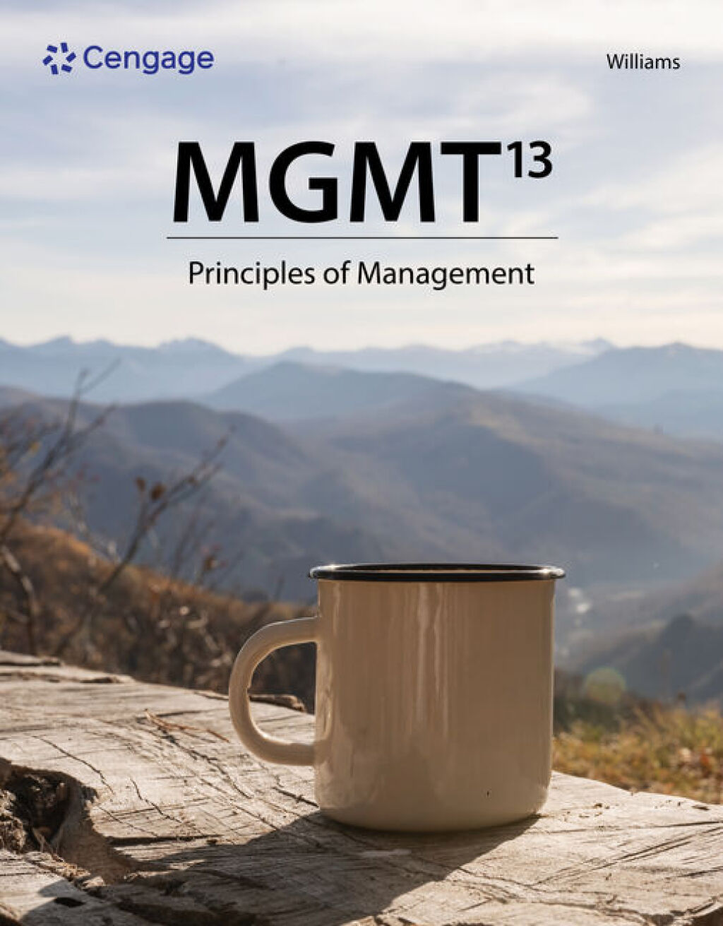 MGMT 13e Williams Test Bank