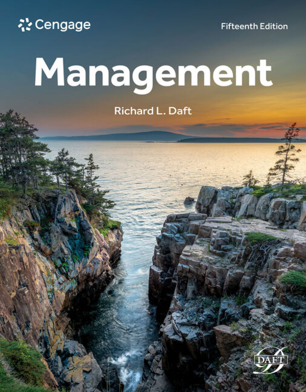Management 15e Daft Solutions Manual