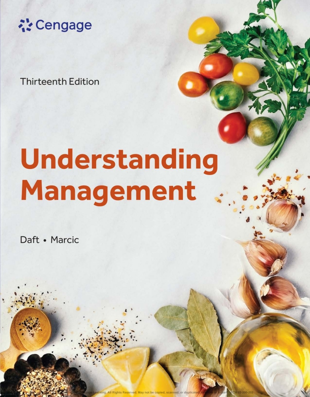 Understanding Management 13e Daft Test Bank