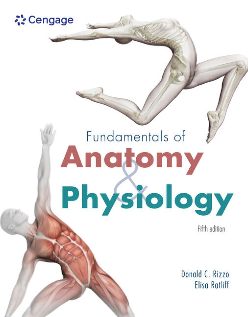 Fundamentals of Anatomy and Physiology 5e Rizzo Test Bank