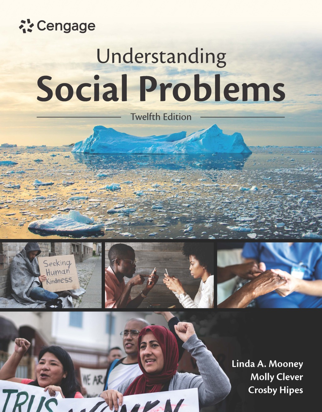 Understanding Social Problems 12e Mooney Test Bank