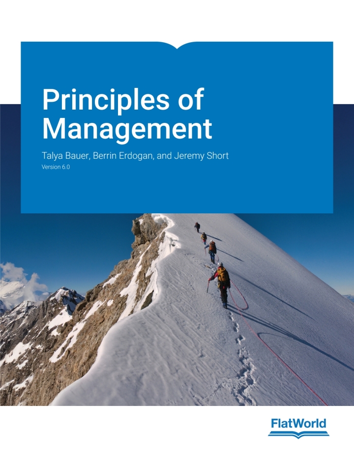 Principles of Management v6 1e Bauer Solutions Manual